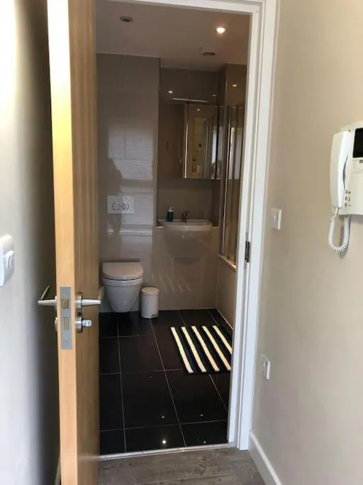 Image 3 of STUDIO Apartment opposite shoreditch Park